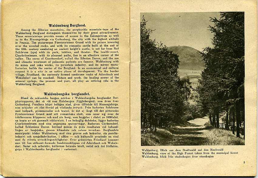 Fot 5. Wałbrzych, Widok z lasu miejskiego na Chełmiec fot. Mittmann Waldenburg