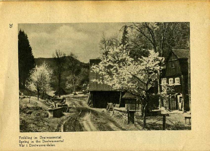 Fot 36. Wiosna w Łomnicy Trzy Strugi fot. Mittmann Waldenburg