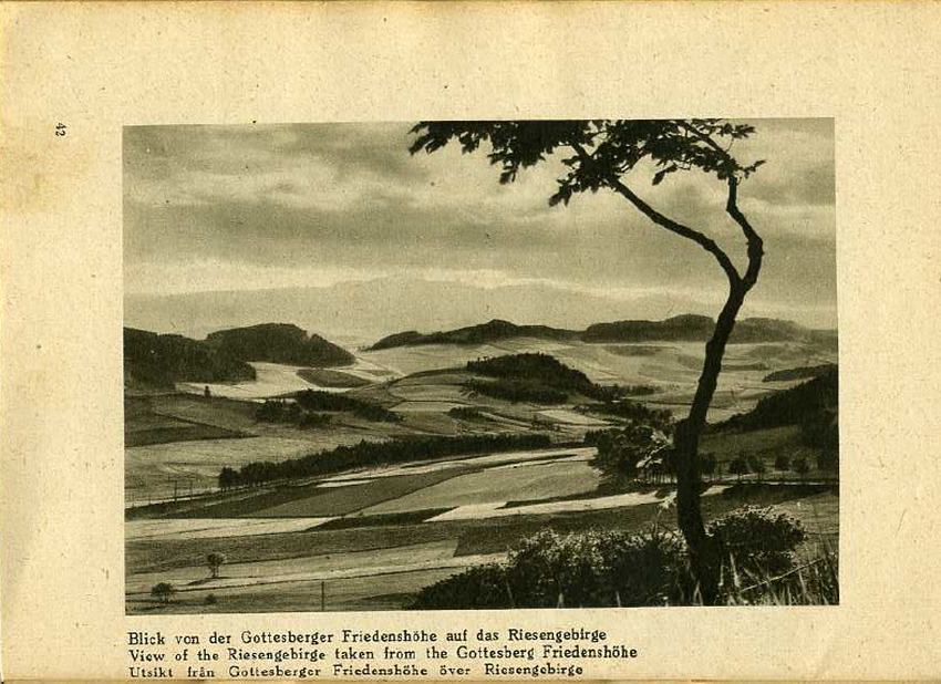 Fot 42. Widok z restauracji Friedenshöhe w Boguszowie na Karkonosze fot. Mittmann Waldenburg