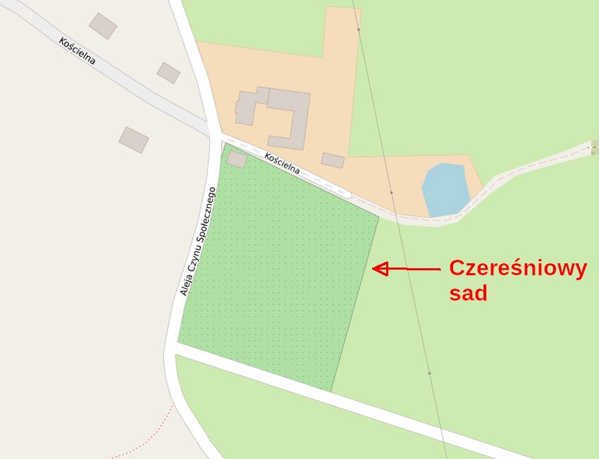Fot 8. Czereśniowy sad Fot 8. Czereśniowy sad